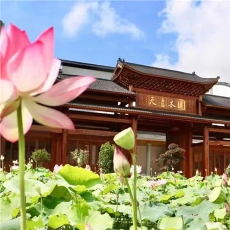 益陽(yáng)天意木國(guó)木文化博物館、金家堤、一碑五館一日游