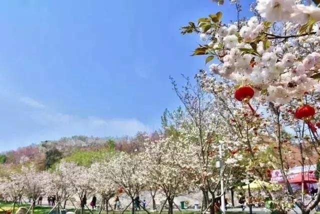 長沙潯龍河櫻花谷、田漢文化園一日游