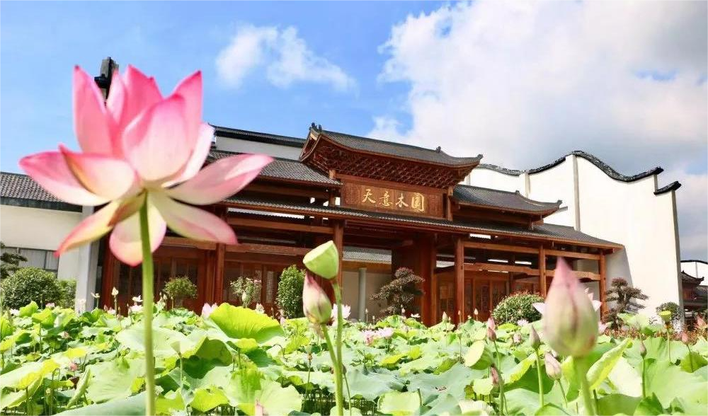 清溪村、天意木國(guó)景區(qū)、明清古巷、市博物館、胡林翼故居二日游